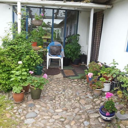 Ingridsboplads Bed & Breakfast Vildbjerg Dış mekan fotoğraf