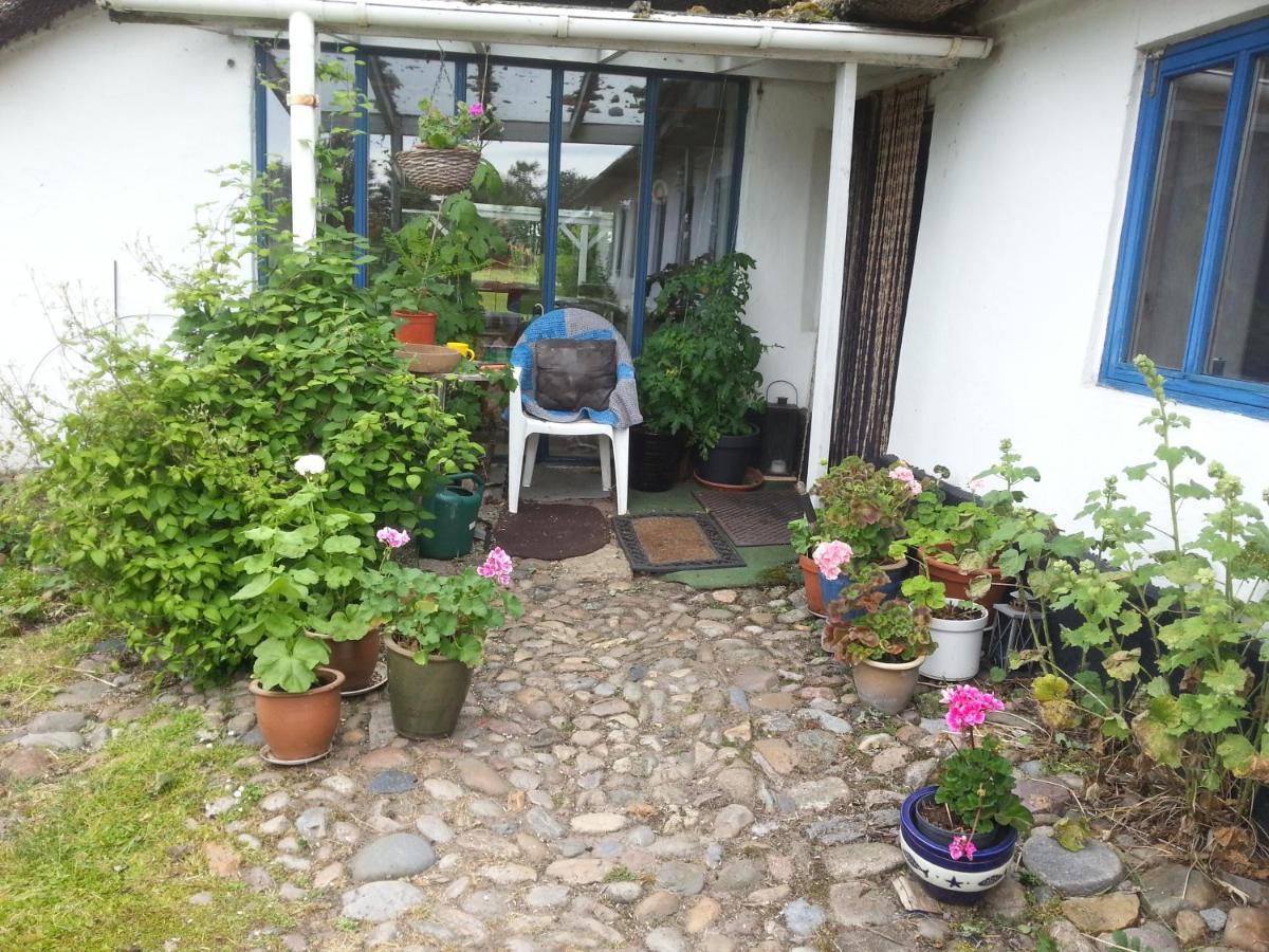 Ingridsboplads Bed & Breakfast Vildbjerg Dış mekan fotoğraf